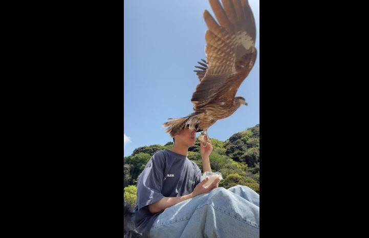 Japon gencin ağzına götürdüğü sandviçi pençesiyle çaldı! Fişek gibi geldi tek hamlede kaptı - Resim: 3